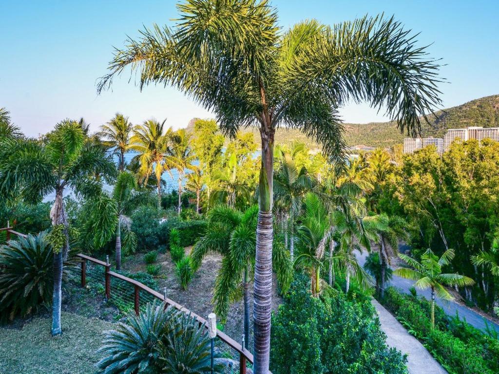 The Palms On Hamilton Island Villa Exterior foto